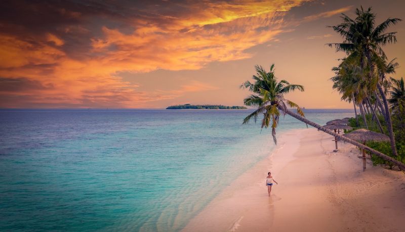 A beach in the Maldives at sunset.  There is a palm tree leaning out of the water, and the pink sand is contracted against the blue water.  There is a person walking alone on the beach.